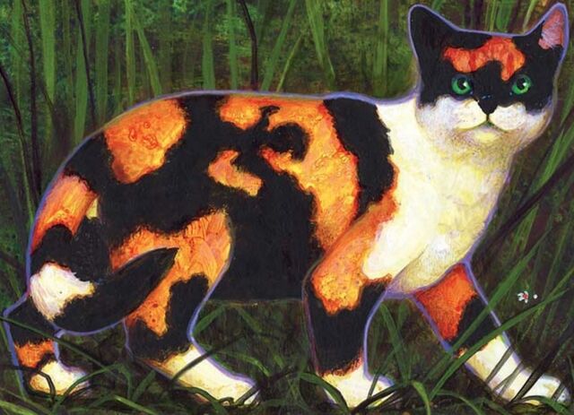 Datei:CCTawnypelt.jpg