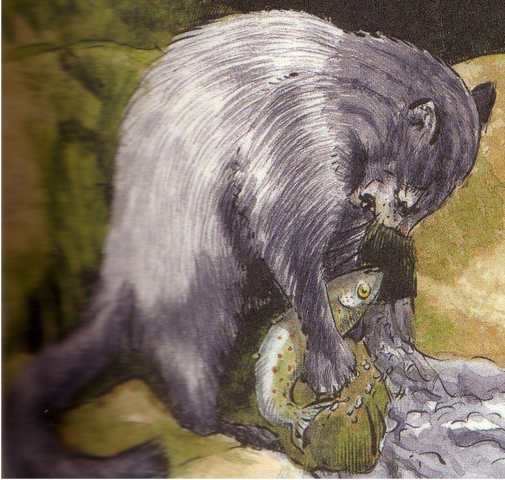 Datei:Fisch2.png