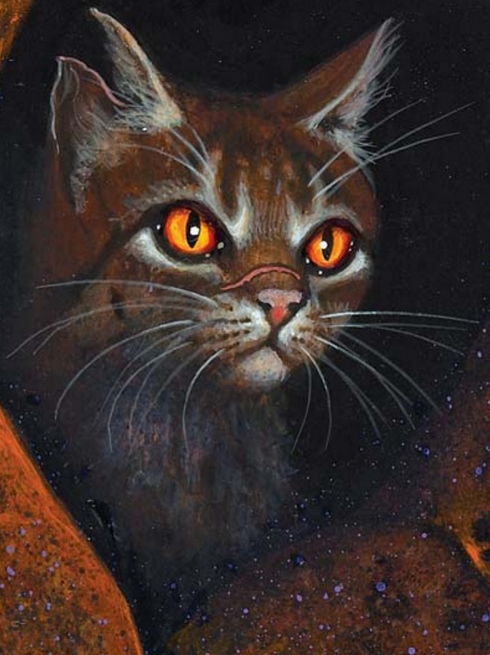 tigerkralle tigerkralle