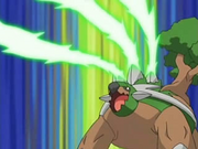 Torterra Giga Drain heal.png