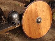 00135 wiking, sanok.jpg