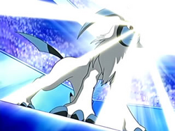 Drew Absol Flash.png
