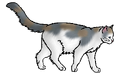 Thumbnail for version as of 11:12, October 5, 2013