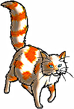 File:Brightpatch.jpg