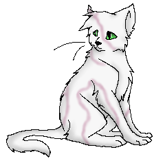 Warrior Cats Blausterns Tod Warrior Cats Blausterns Tod