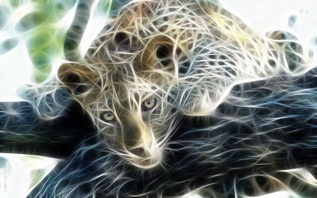File:Digital-big-cats-6-1280x800-1-.jpg