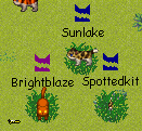 File:Brightsunspotted.png