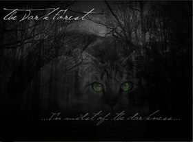 Dark forest place of no stars