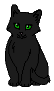 Чернокрылка (котёнок).png