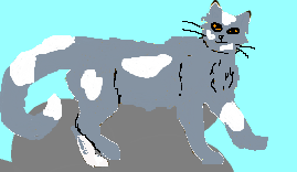 File:Minnowtail (1).png