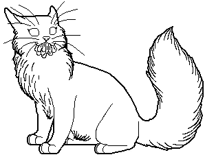 File:Medicine cat.long.female.png