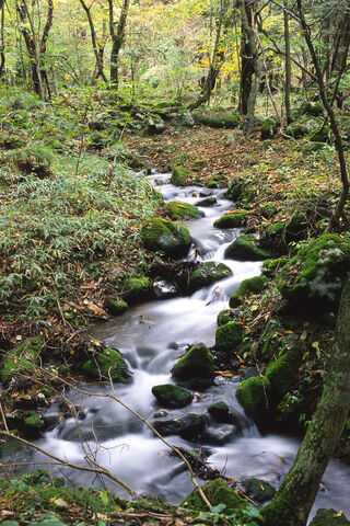 File:StreamByFallsHg.jpg