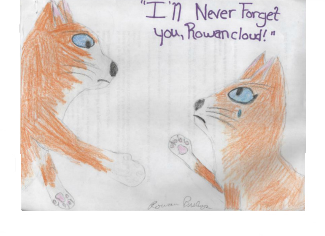 File:Rowancloudpaw.png