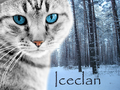 Thumbnail for version as of 02:46, October 15, 2012