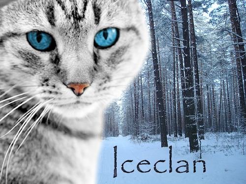 File:IceClan.png