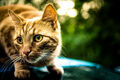 Thumbnail for version as of 15:28, April 23, 2014