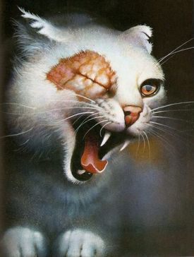 File:Cuorediluce.jpg