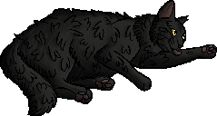 File:Graystripe.kittypet.png