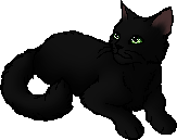 Hollyleaf.star