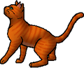 Estrela de Fogo, Wiki Gatos Guerreiros