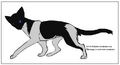 Thumbnail for version as of 17:22, January 21, 2013