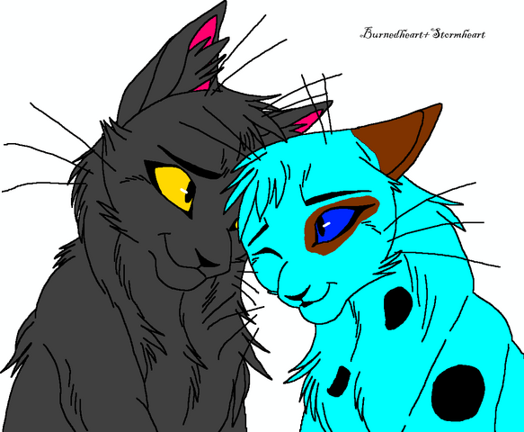 File:Burnedheart and Stormheart NightClan.png