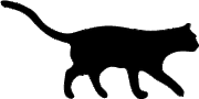 Cat-7