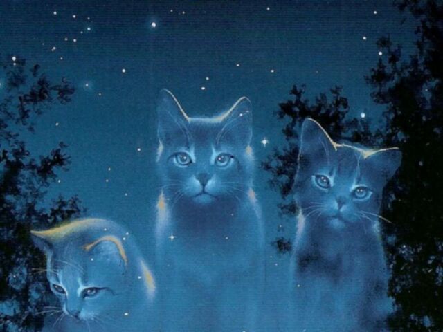 File:Starclan-cats-warriors-novel-series-31827214-1024-768.jpg