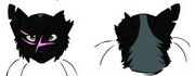 Ravenpelt's Head