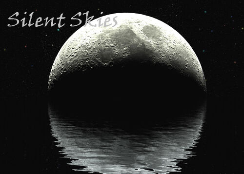 Silent skies