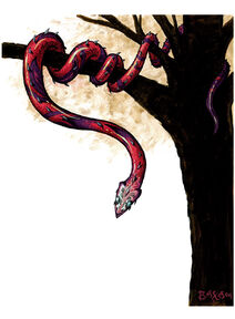 Jaculus snake