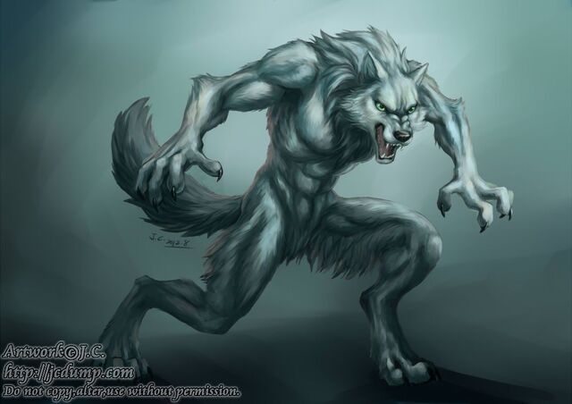 File:White-wolf.jpg