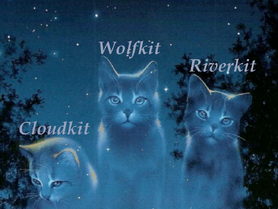 Cloudkit Wolfkit Riverkit