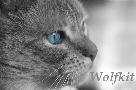 Wolfkit