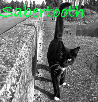 Sabertooth