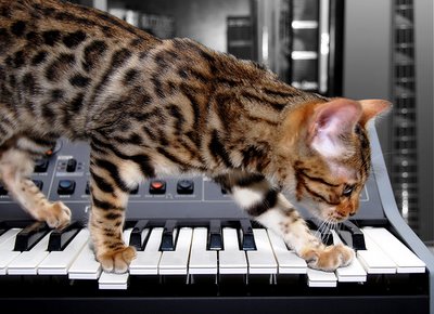 Furystrike