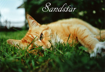 Sandstar