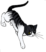 Hawkstar 2