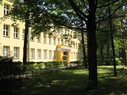 SP138.jpg