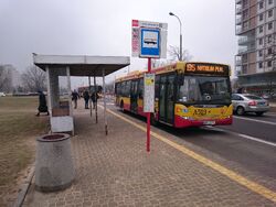 195 (Stryjenskich).jpg