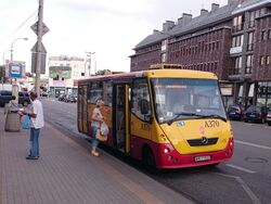 164 (Goraszewska)