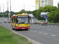 4907-152.jpg
