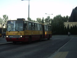 DSC04287
