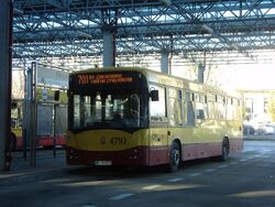 DSC08074.jpg