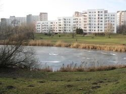 Dolina Sluzewiecka.jpg