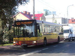 DSC04264.jpg