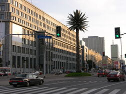 Palma warszawa.jpg