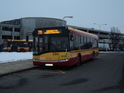 DSC01185.jpg