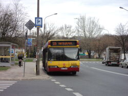 DSC05501.jpg