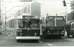 Trolejbus (linia 51)